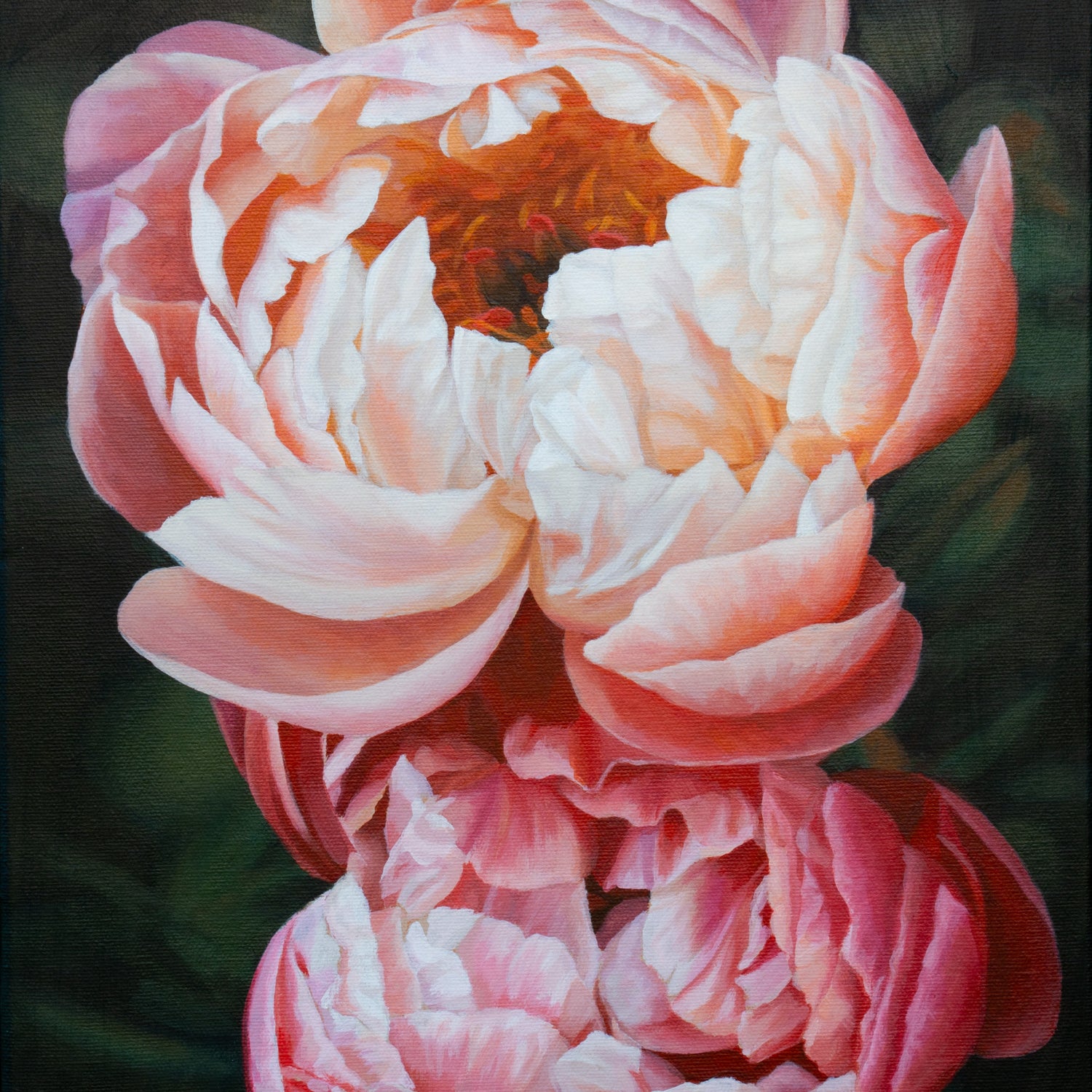 Coral Charm peony acrylic painting by Marianne Vander Dussen for a Masterclass at PMAC - The Priest's Mill Arts Centre in Alexandria Ontario