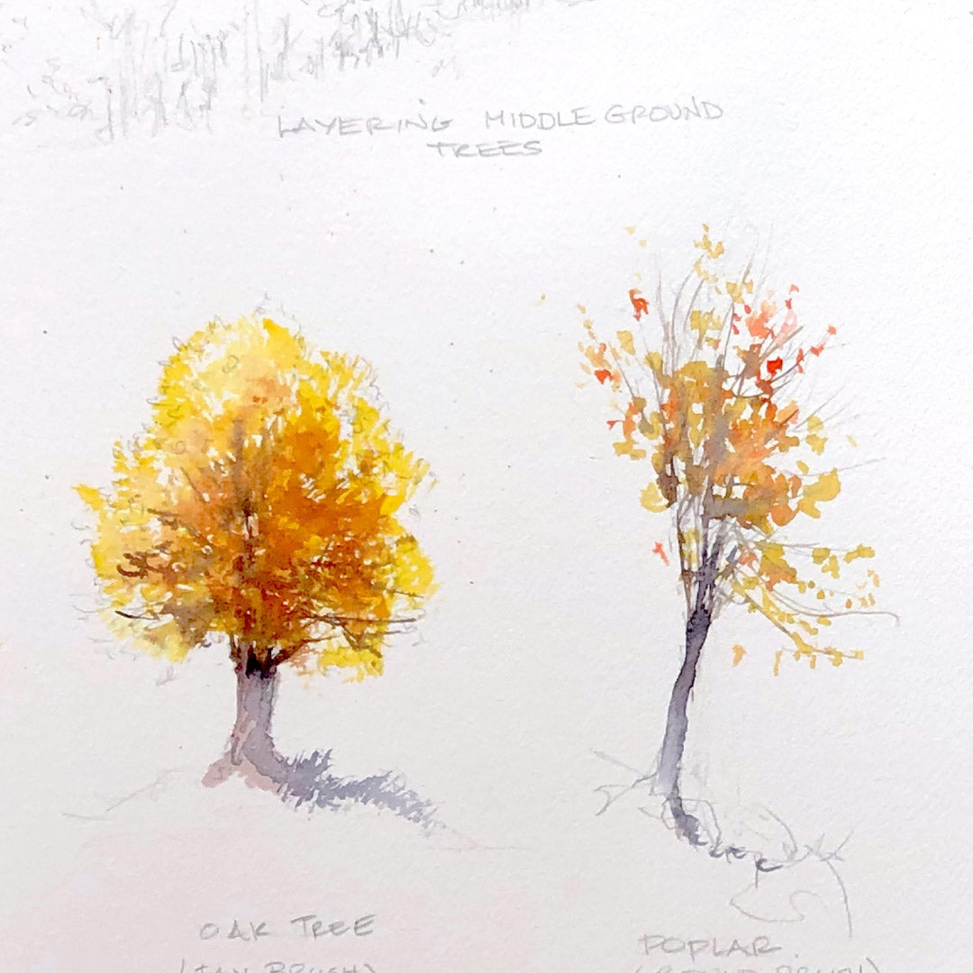 In the Falling Light — 07 November