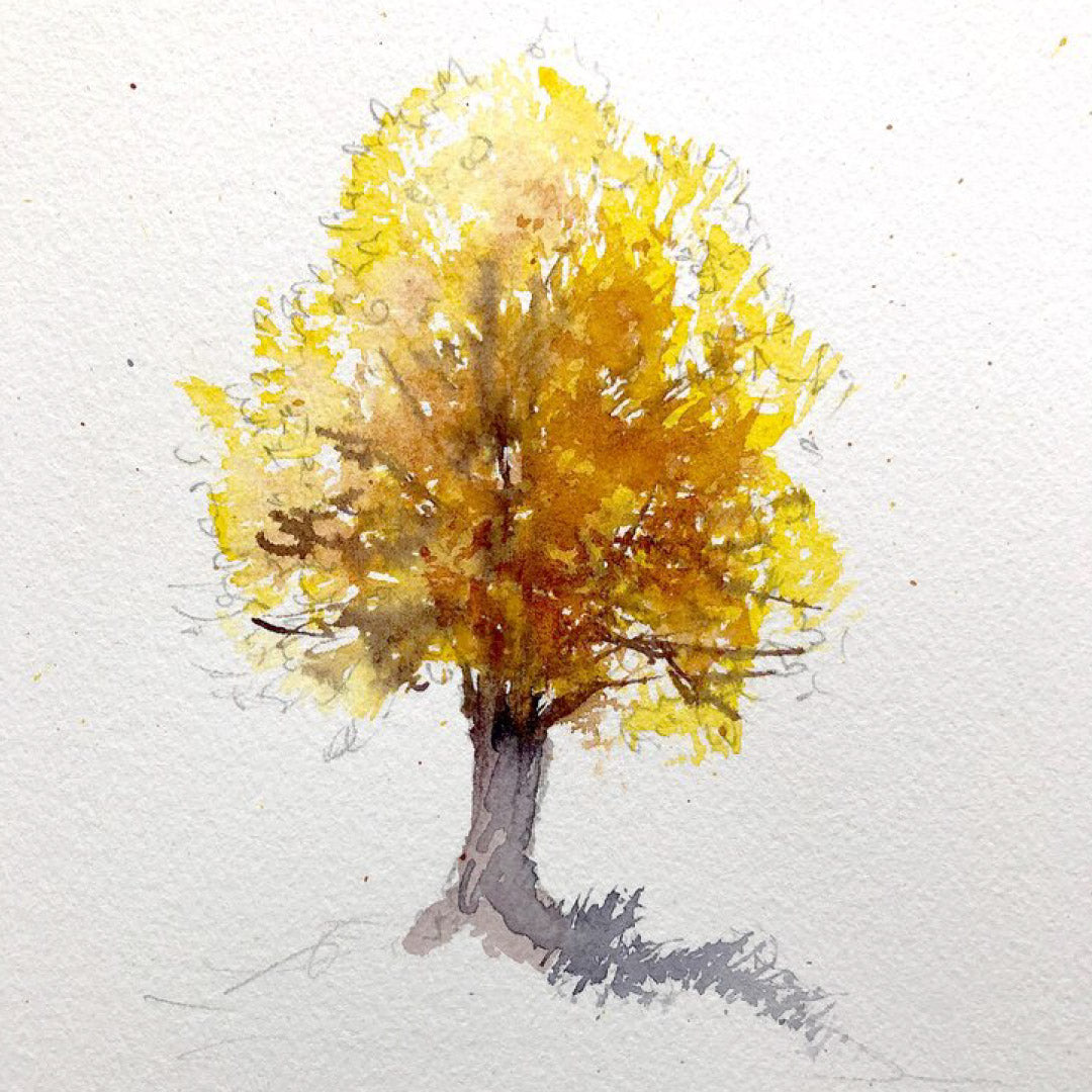In the Falling Light — 07 November