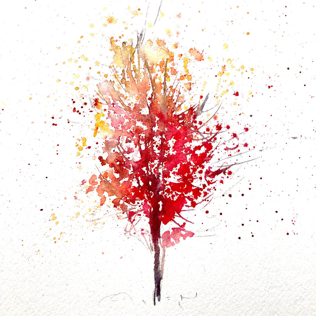 In the Falling Light — 07 November