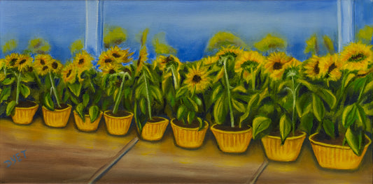 A Row of Sunshine