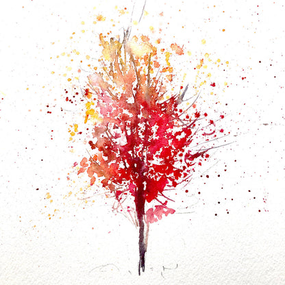 In the Falling Light — 07 November