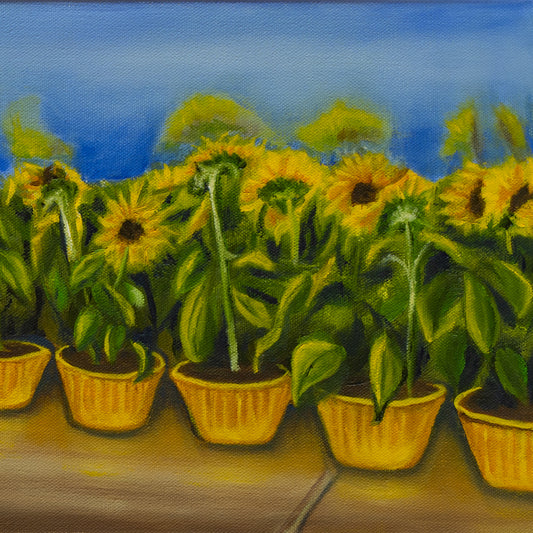 A Row of Sunshine