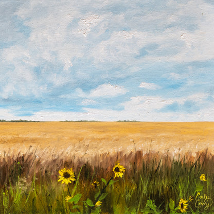 Prairie Skies