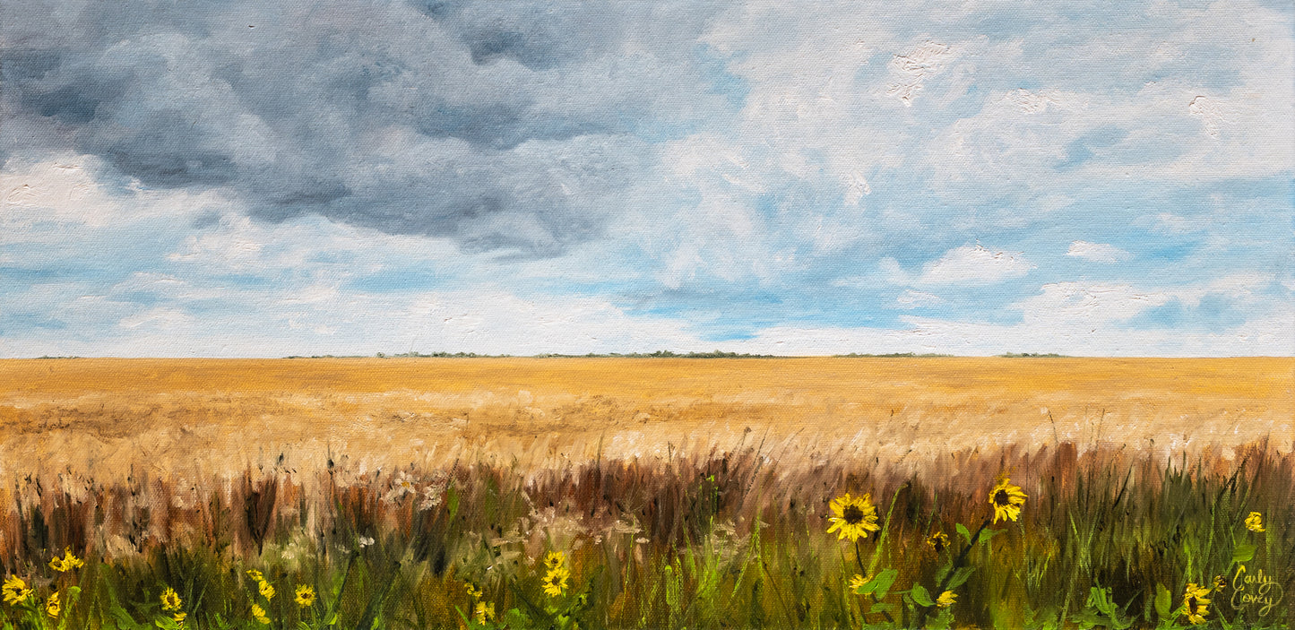 Prairie Skies