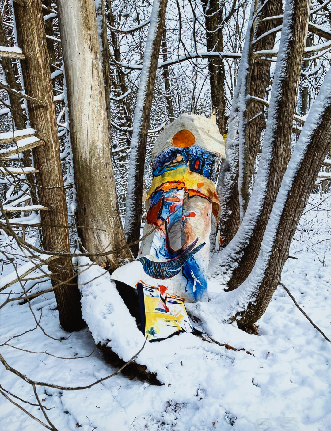 Woodland Wonder