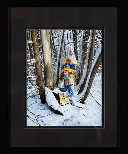 Woodland Wonder