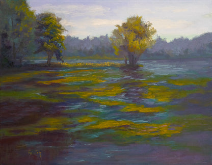 Spring at Dow's Lake Peninsula