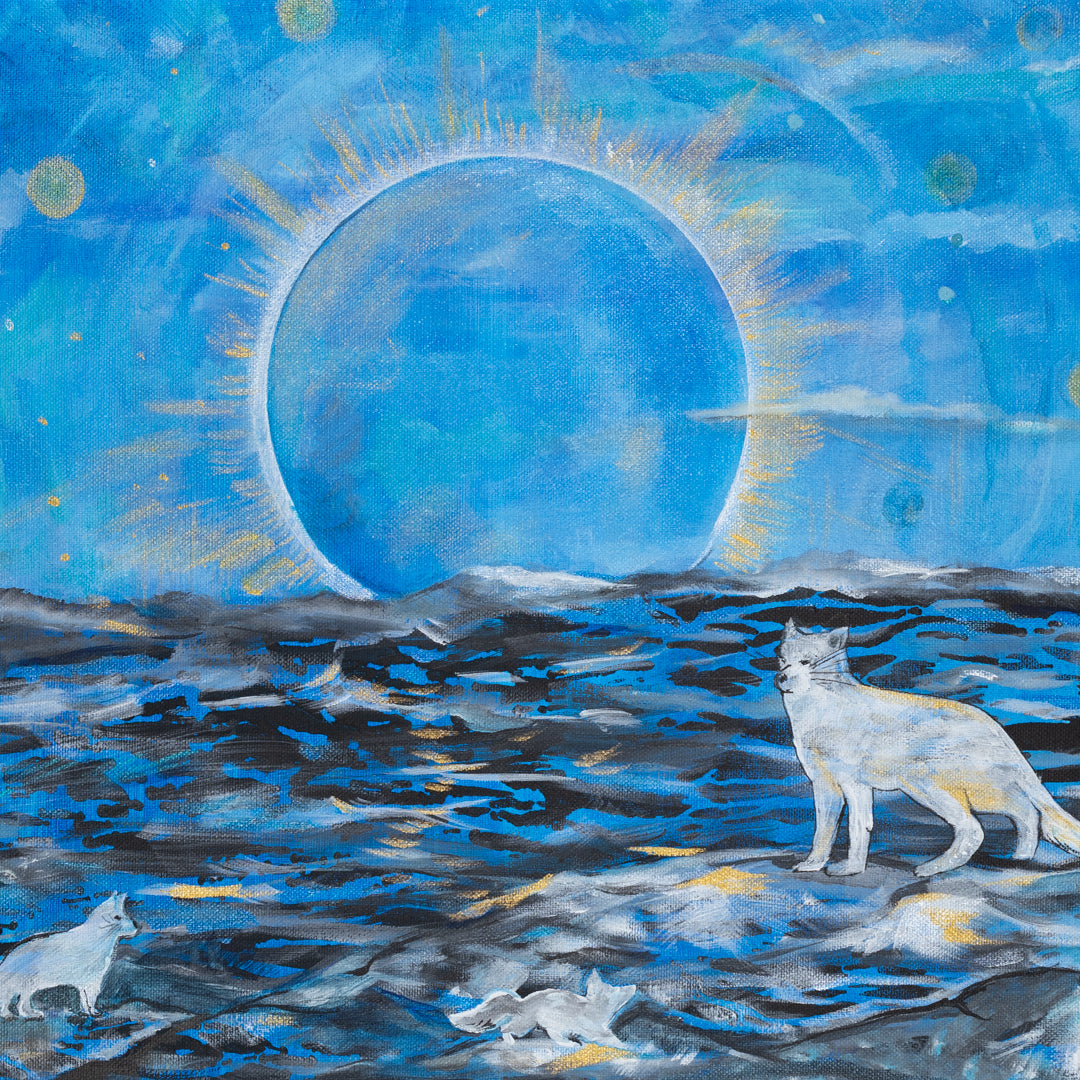 Arctic Foxes
