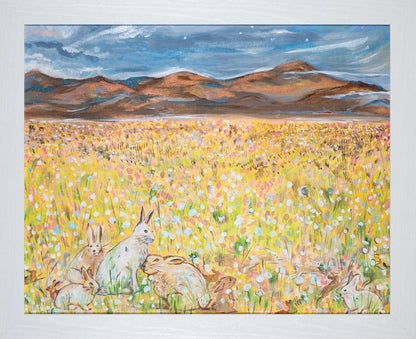 Snow Hares in Springtime