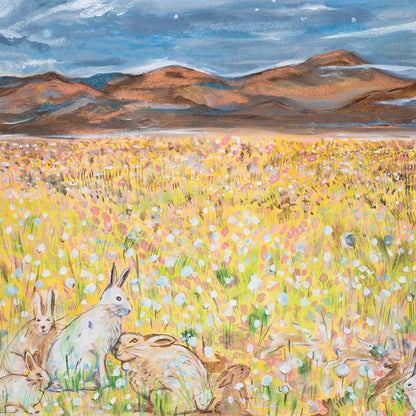 Snow Hares in Springtime