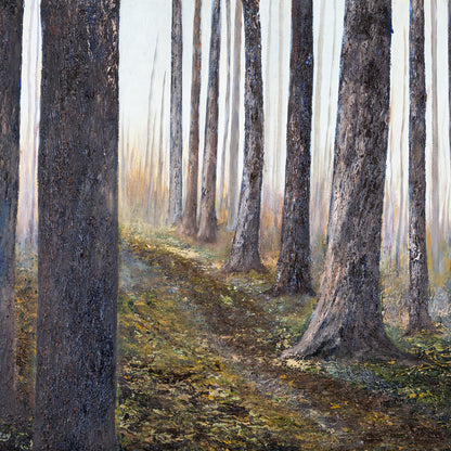 Spring Forest in Rigaud