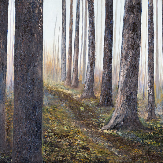Spring Forest in Rigaud