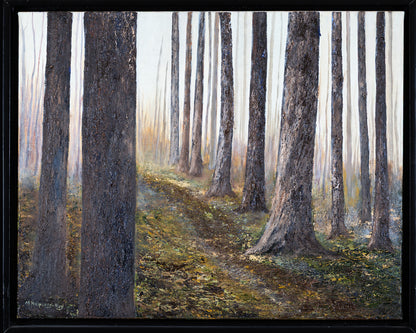 Spring Forest in Rigaud