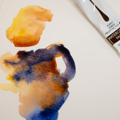 Reflections in Watercolour